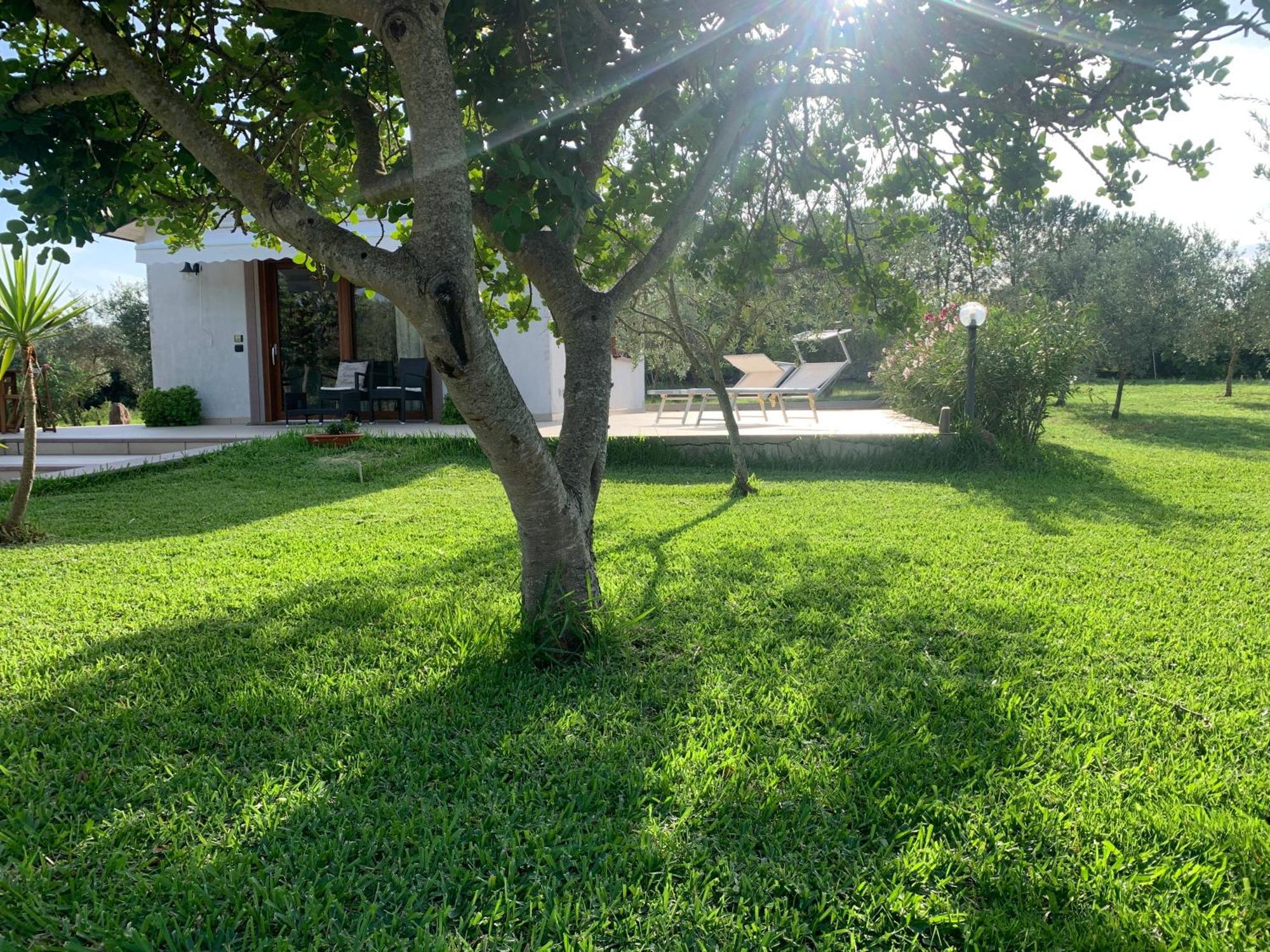 La Casetta Holiday Home Альгеро Экстерьер фото